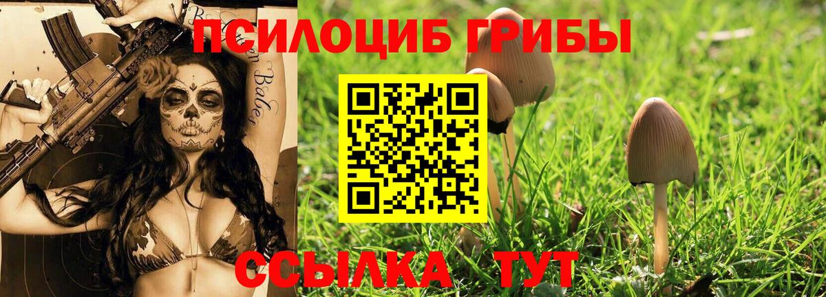 Жигулёвск  Псилоцибиновые грибы Psilocybine cubensis  Псилоцибиновые грибы Psilocybine cubensis  Вход с VPN 